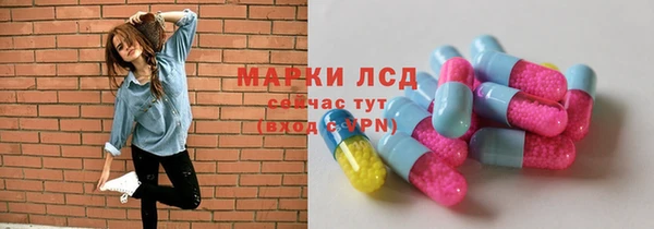 СК Аркадак