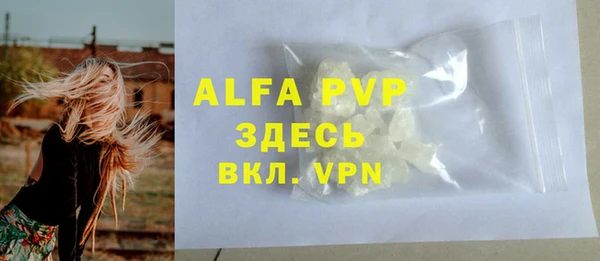 прущие грибы Белоозёрский