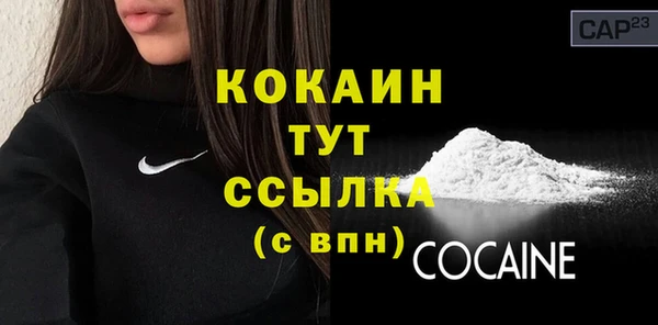 прущие грибы Белоозёрский