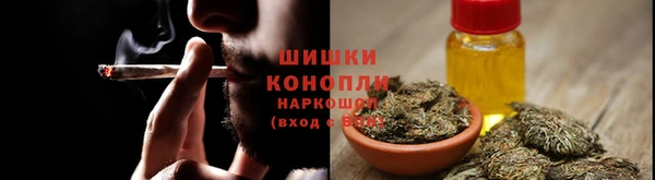 крисы Армянск