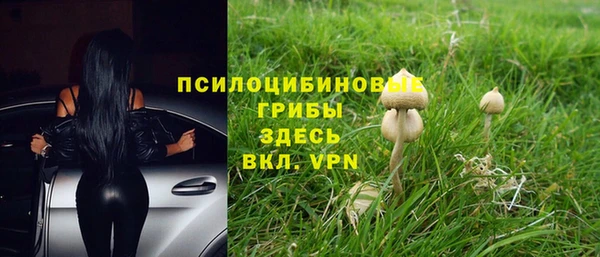 дурь Беломорск