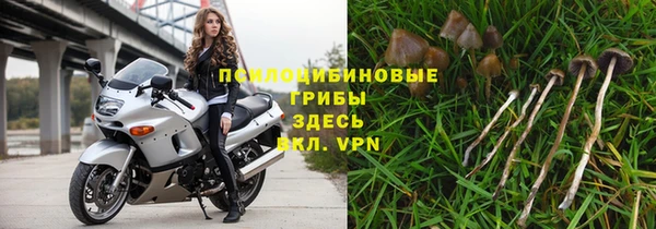 прущие грибы Белоозёрский