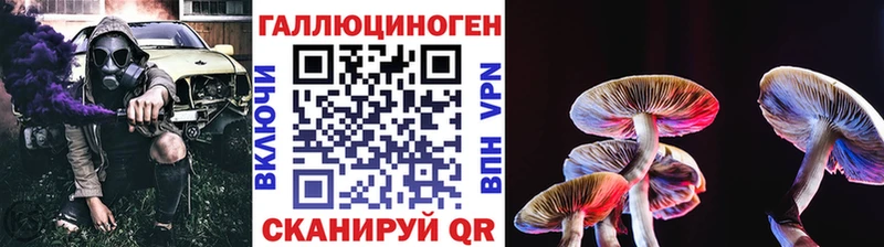 Псилоцибиновые грибы ЛСД  где найти наркотики  ссылка на мегу как войти  Касимов 