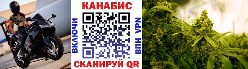 Бошки марихуана SATIVA & INDICA  omg зеркало  Касимов 